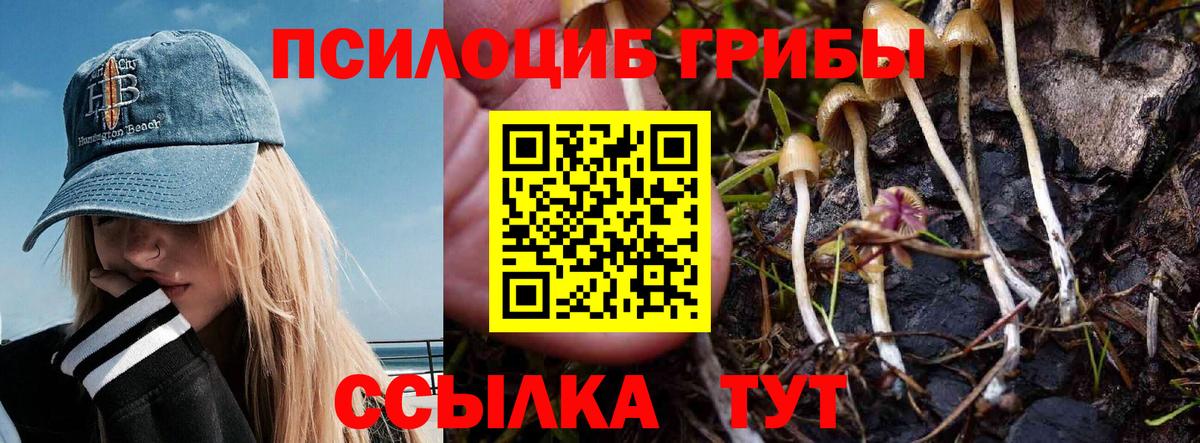 Каспийск  Галлюциногенные грибы мицелий  Вход с VPN 